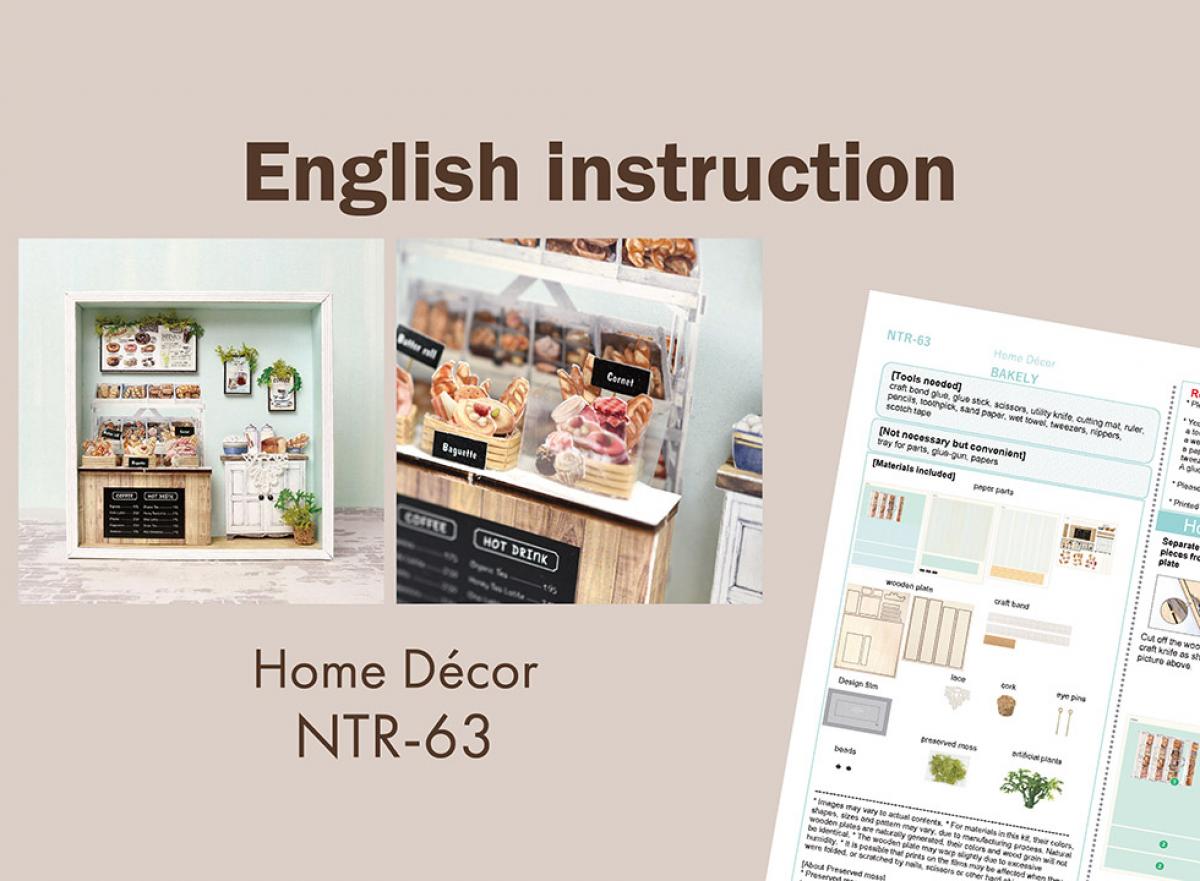 【English instruction】 NTR-63