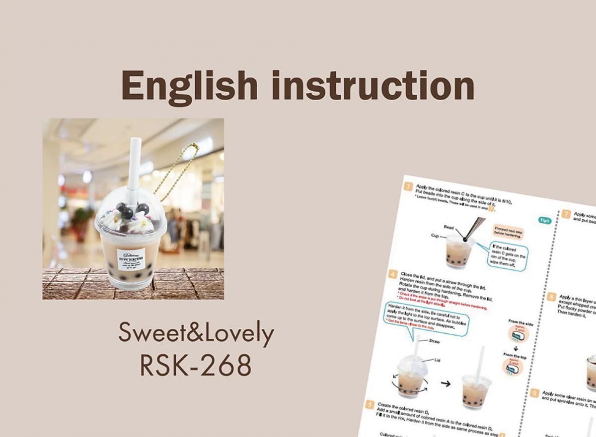 【English instruction】 RSK-268
