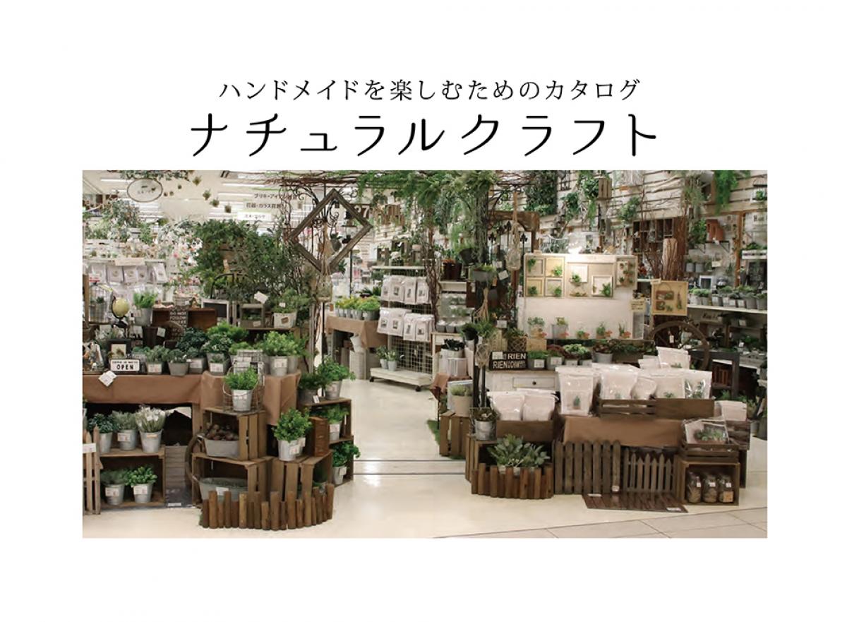 ナチュラル　カタログ