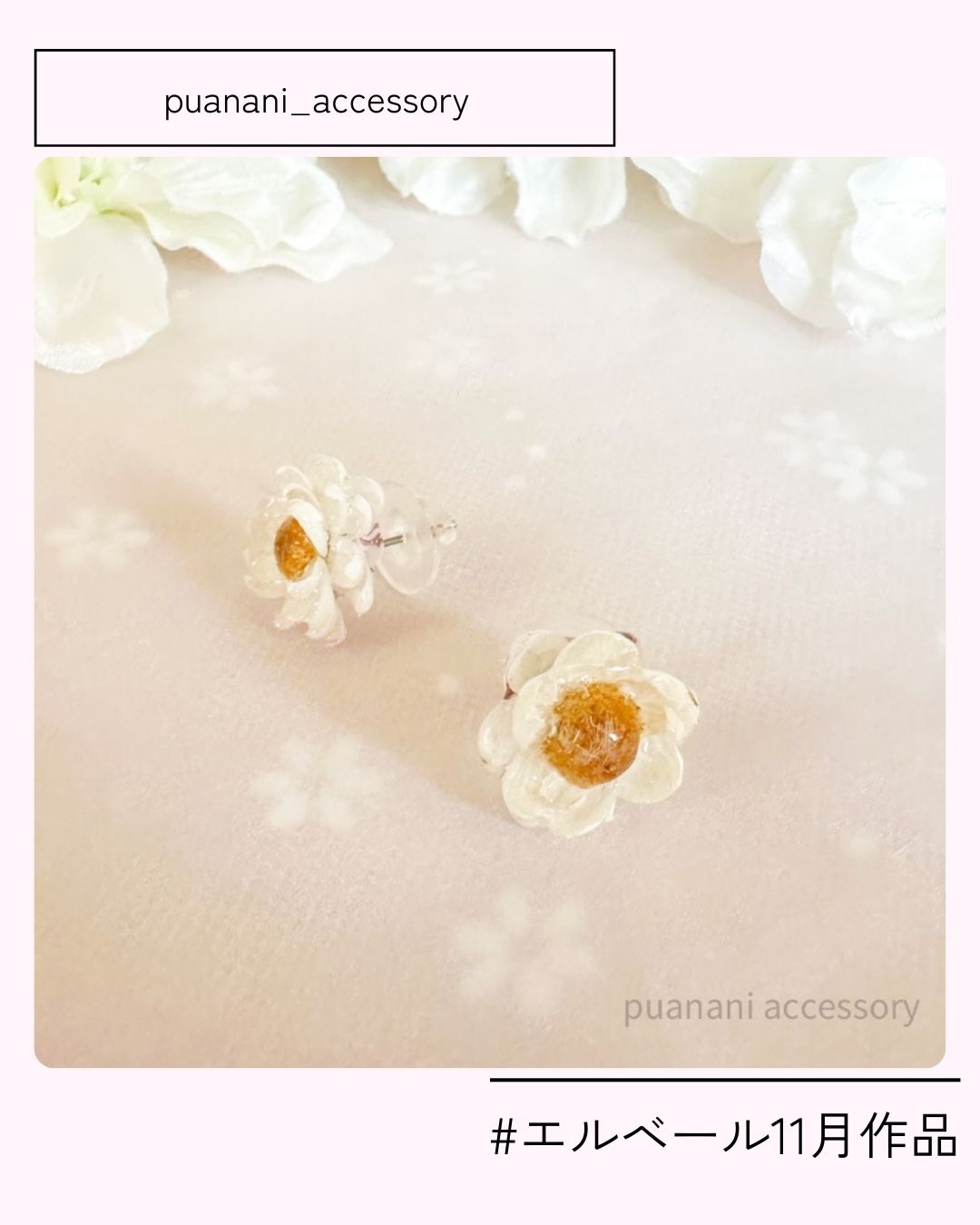 17_puanani_accessory