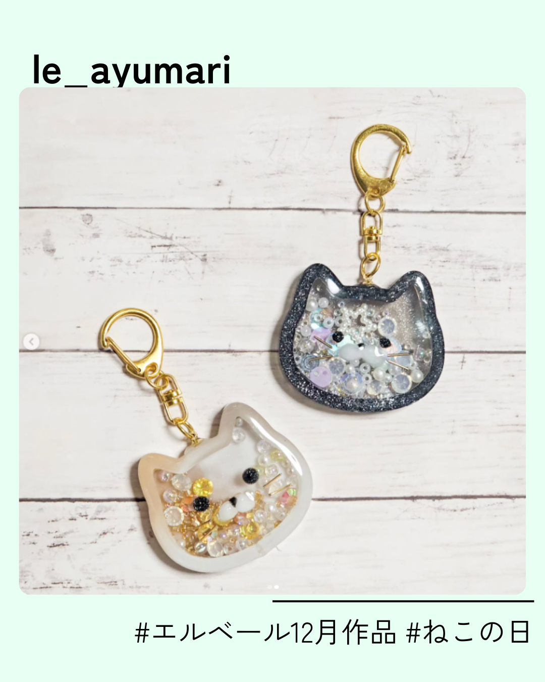 30_le_ayumari