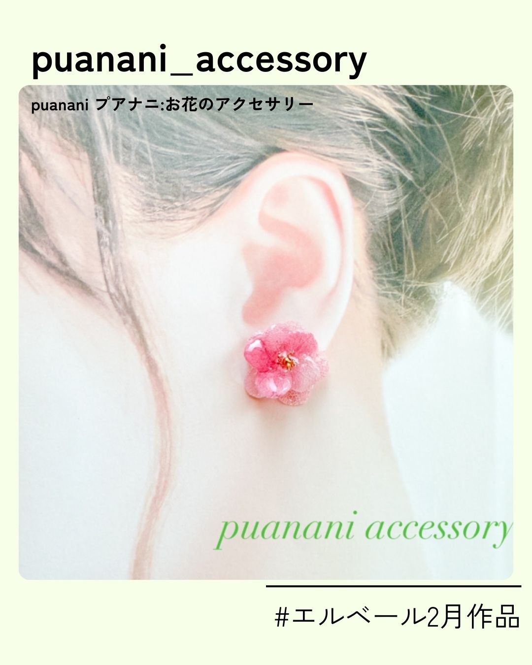 17_puanani_accessory168